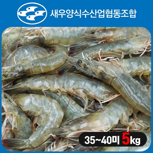 (새우양식수산업협동조합) 전남 신안 왕새우(냉동) 5kg (35~40미)